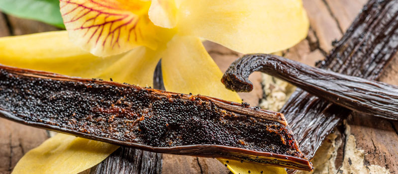 Débat vanille à Paris : la CNV plaide en faveur des producteurs