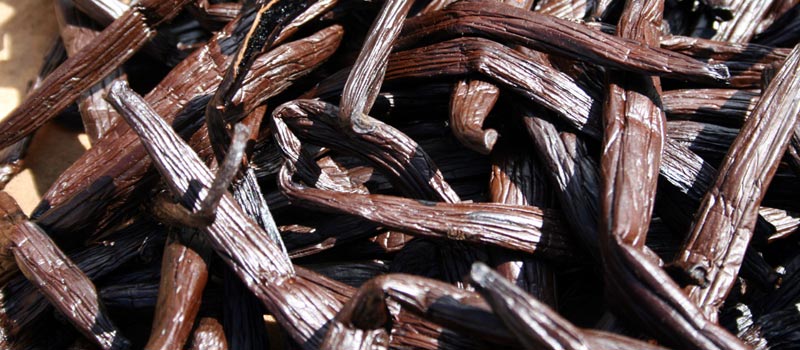 Gouvernement-Assemblée nationale : Campagne spéciale pour nettoyer l'industrie de la vanille