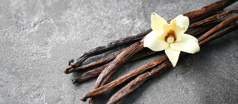 Filière vanille : Le prix minimum du kilo de vanille verte est de 75 000 Ar