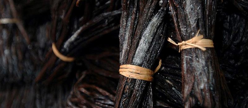 Réception de demande d'agrément de vanille ouverte, campagne 2024-2025