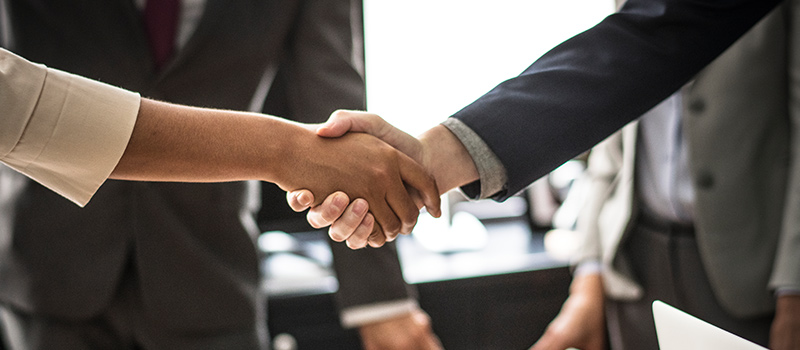 TERMES DE REFERENCE RECRUTEMENT DE DIRECTEUR EXECUTIF DU CONSEIL NATIONAL DE LA VANILLE (CNV)