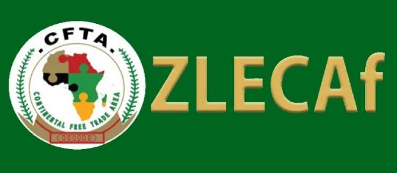 Zone de Libre Echange Continentale Africaine à Madagascar